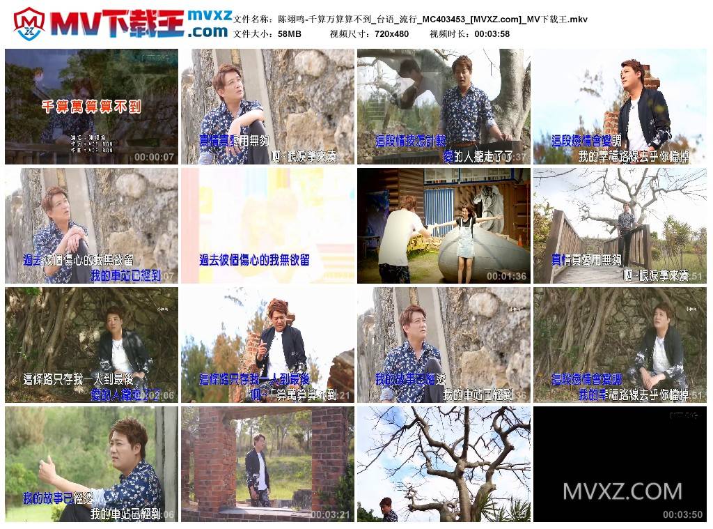 陈翊鸣-千算万算算不到_台语_流行_MC403453